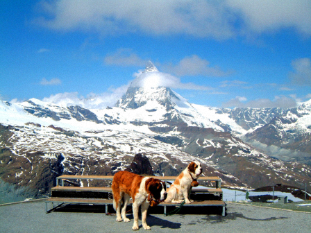 Monte Rosa 4.534 m, Schweiz